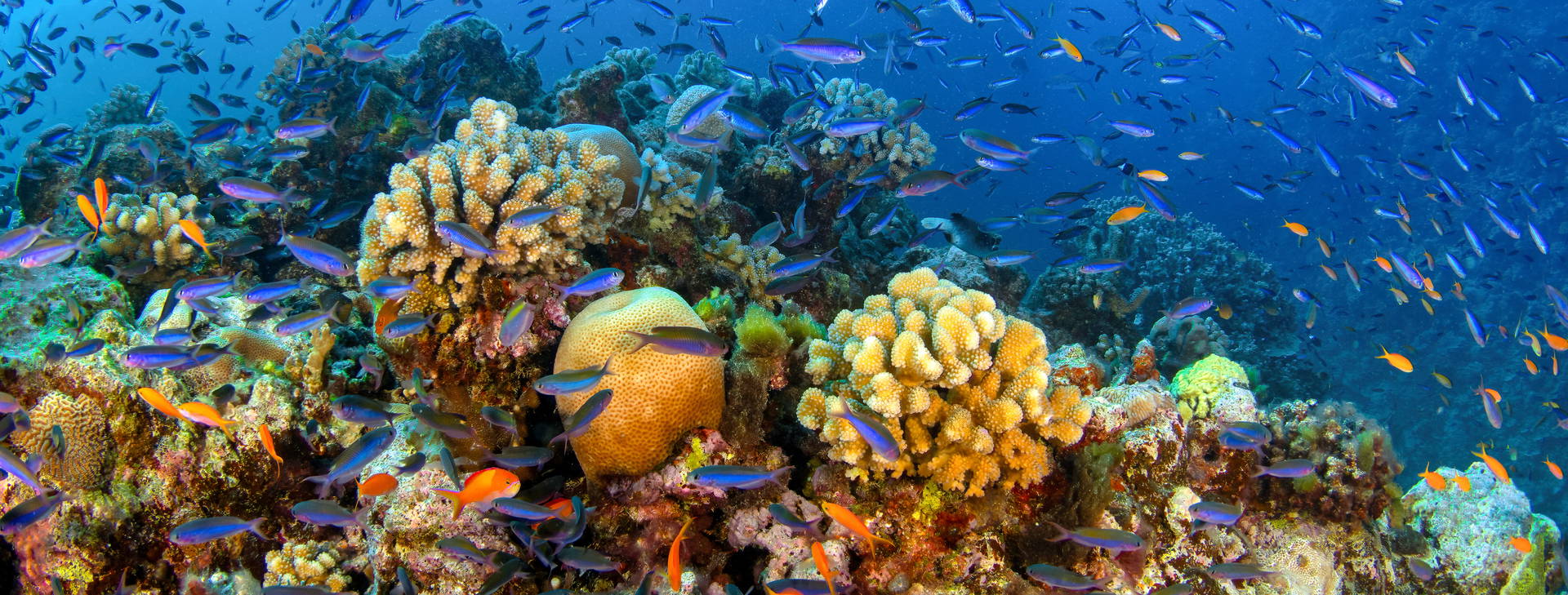 Ubytování AUN Obrázok26