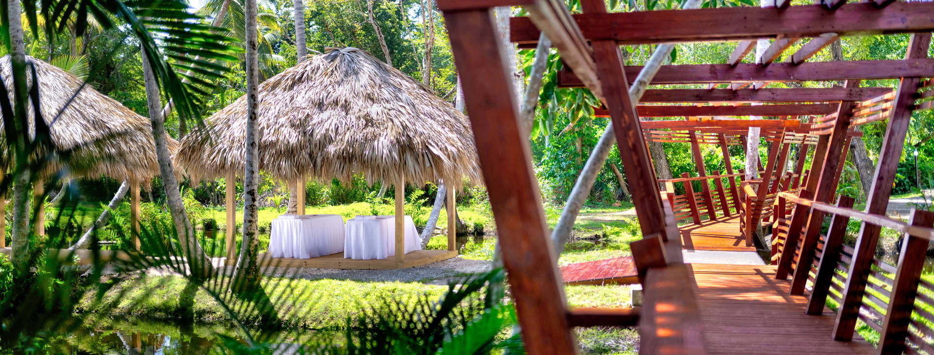 Wyndham Alltra Samana (ex. Grand Paradise Samana) Obrázok34