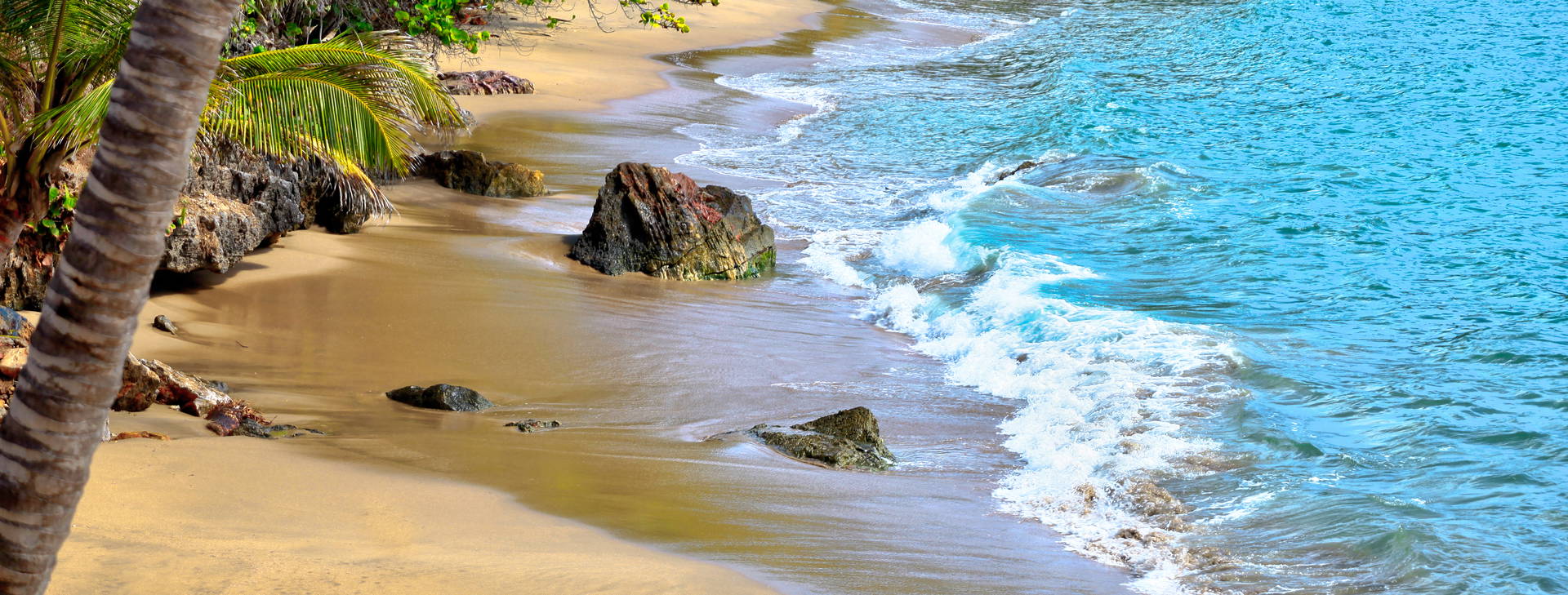 Bahia Principe Luxury Samana Obrázok7