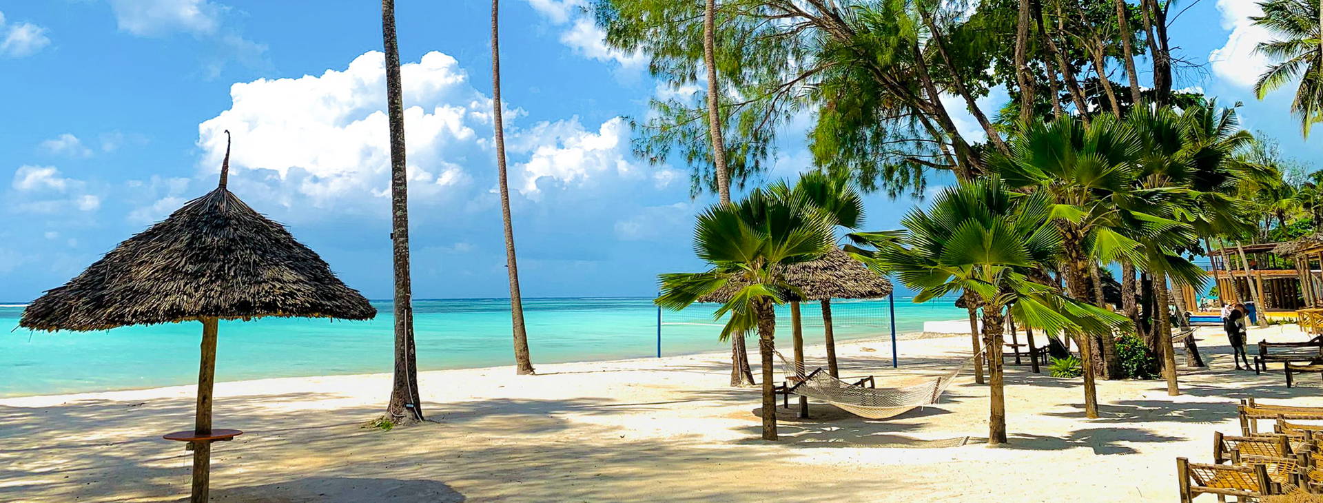 Royal Mandarin Obrázok3