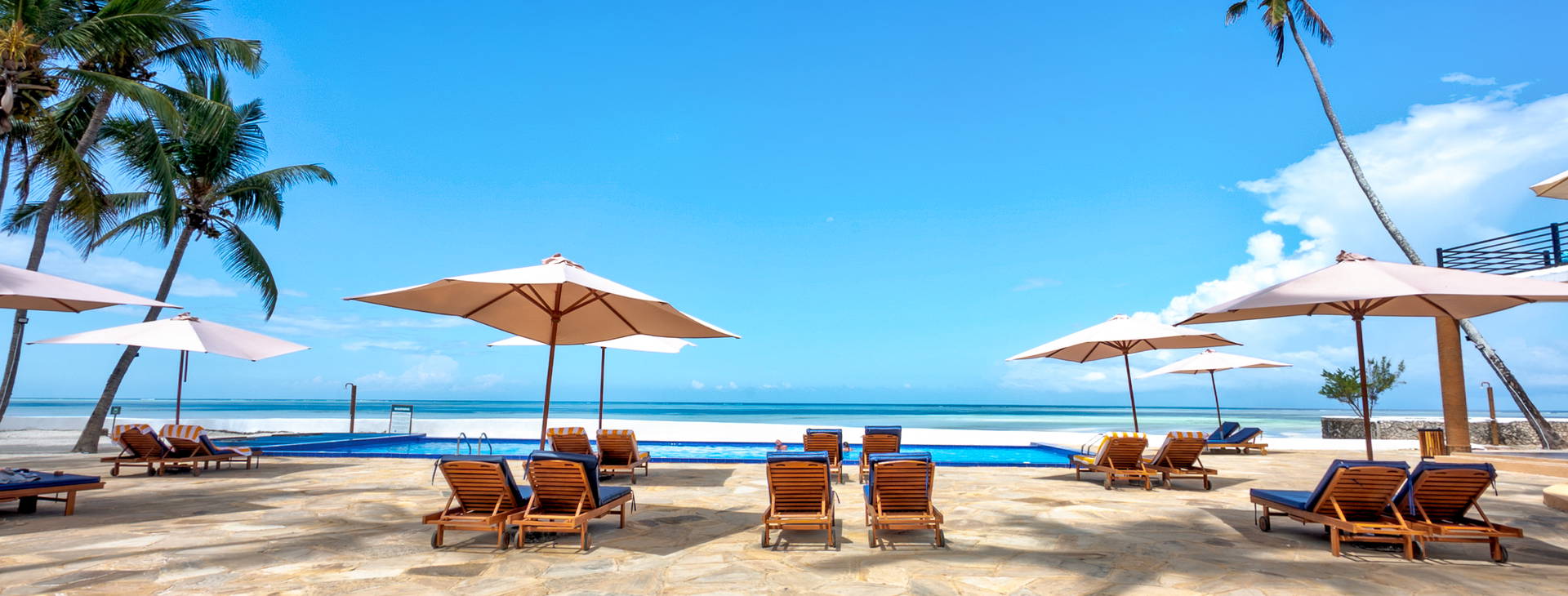 Royal Mandarin Obrázok7