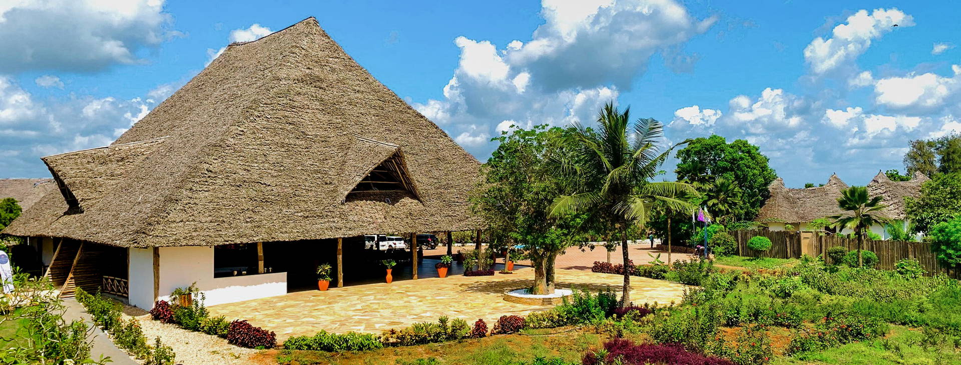 Royal Mandarin Obrázok15