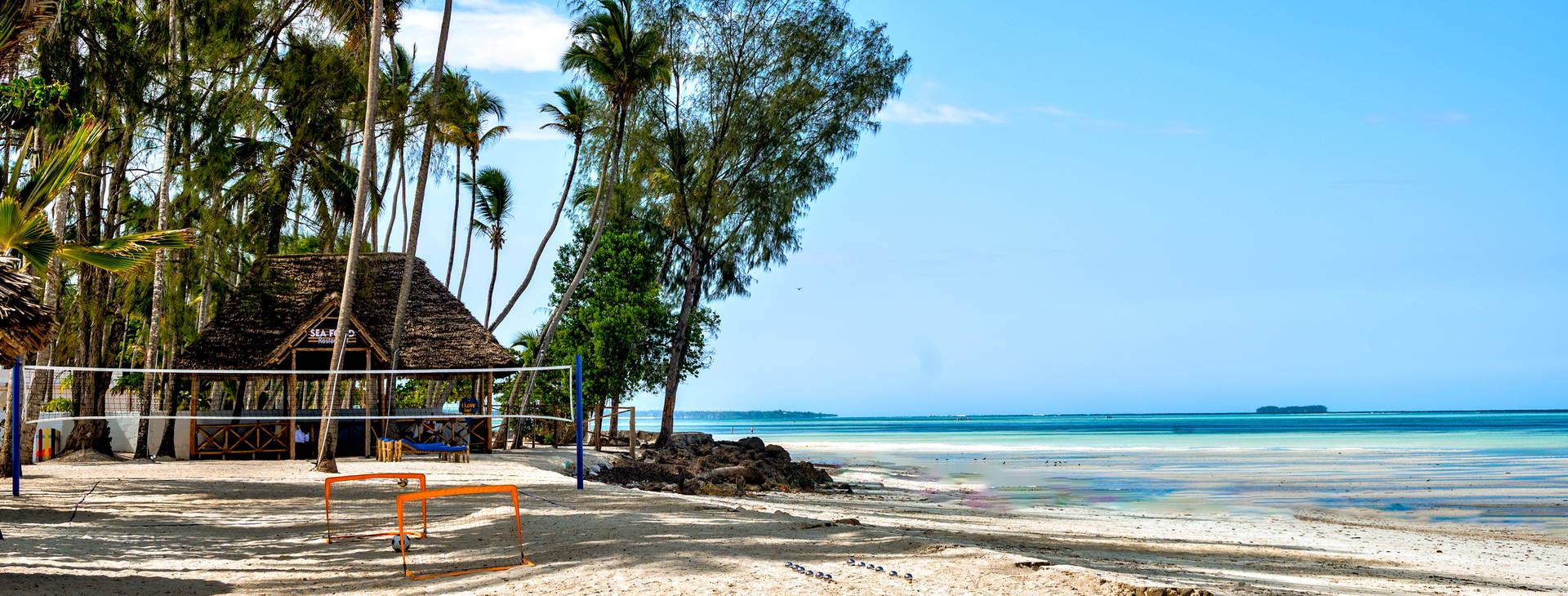 Royal Mandarin Obrázok38