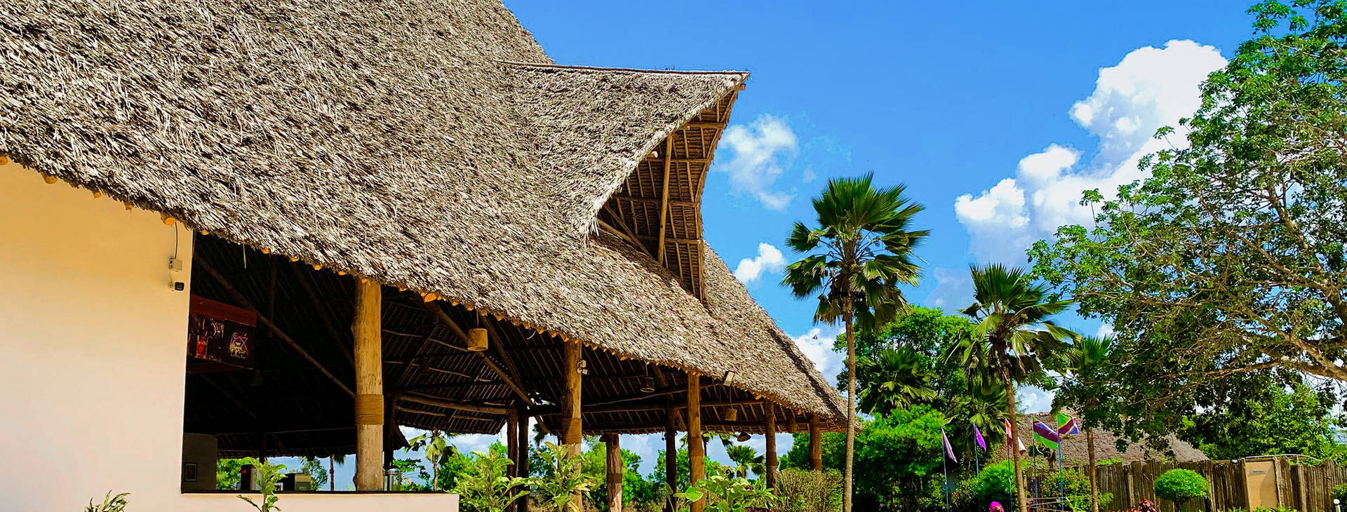 Royal Mandarin Obrázok16