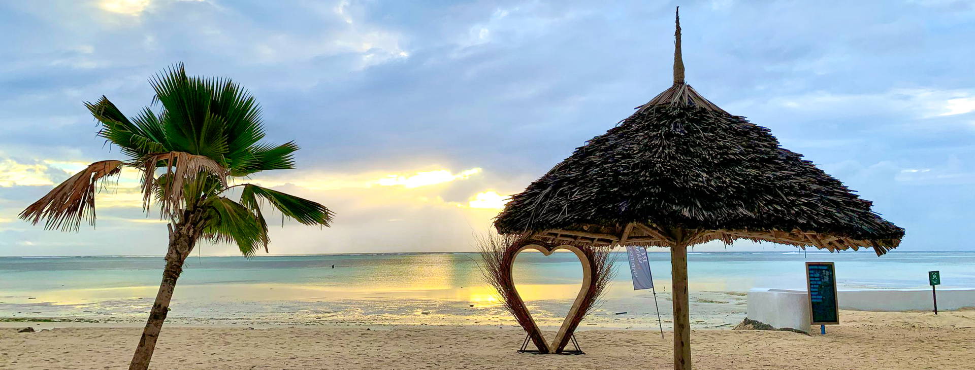 Royal Mandarin Obrázok5