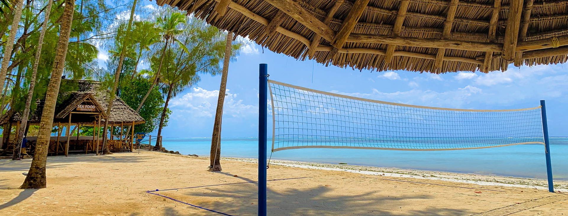 Royal Mandarin Obrázok23