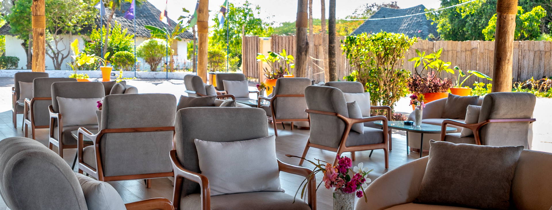 Royal Mandarin Obrázok25