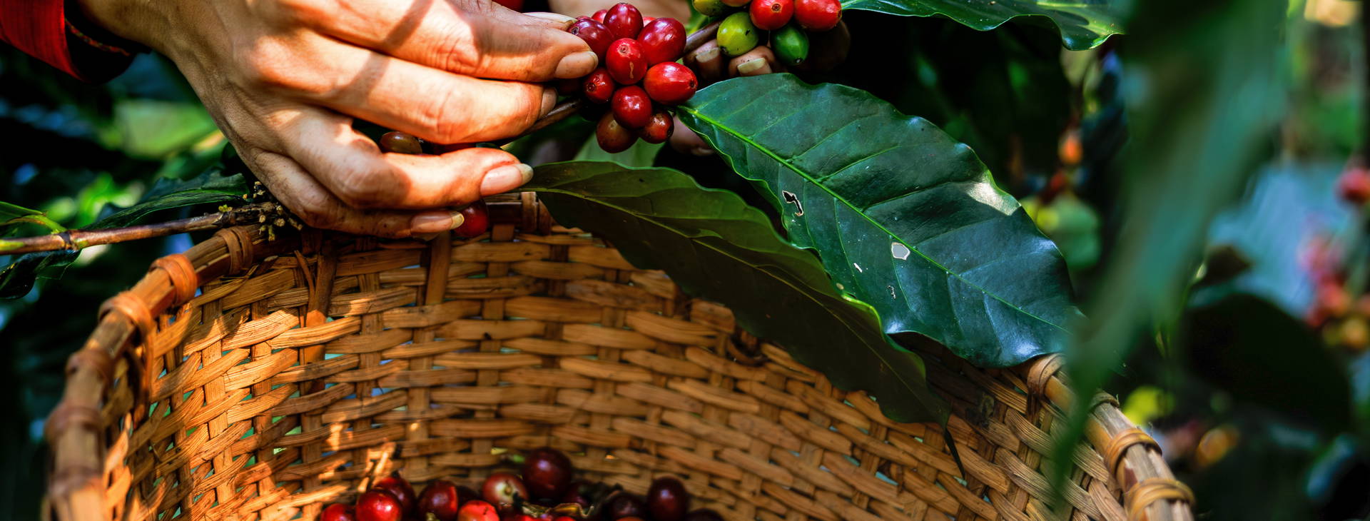 Ubytování NIK Obrázok4