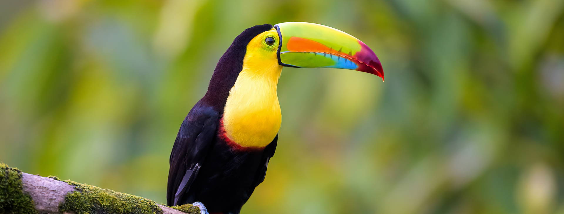 Ubytování NIK Obrázok13