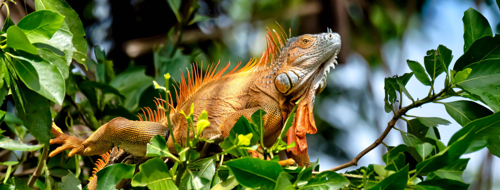 Ubytování NIK Obrázok11