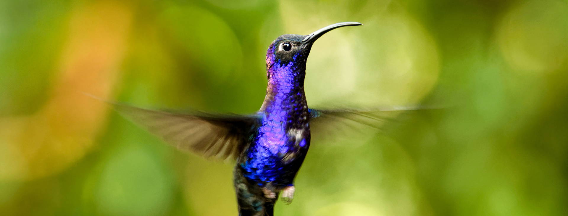 Ubytování NIK Obrázok37