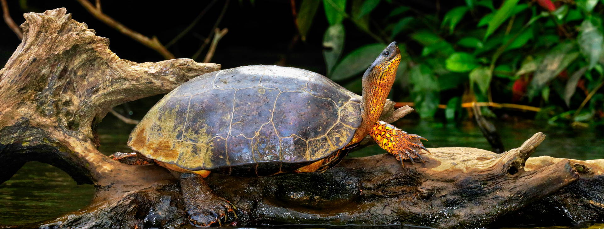 Ubytování NIK Obrázok18