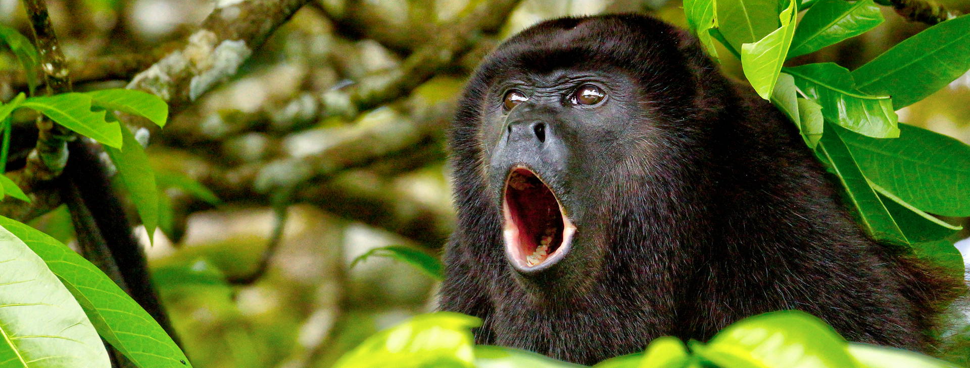 Ubytování NIK Obrázok15