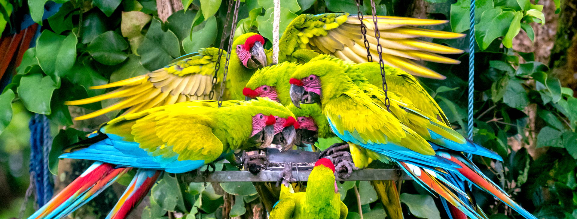 Ubytování NIK Obrázok1