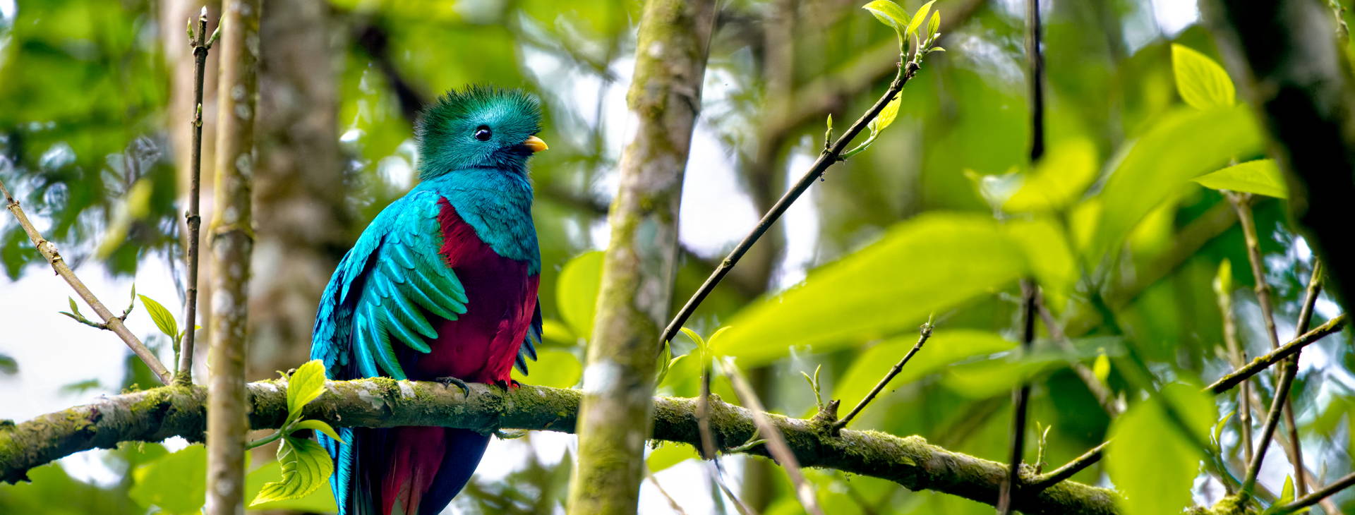 Ubytování NIK Obrázok27