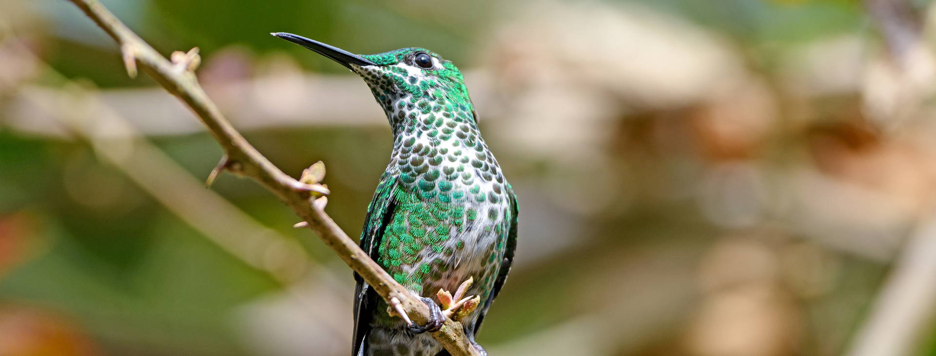 Ubytování NIK Obrázok35