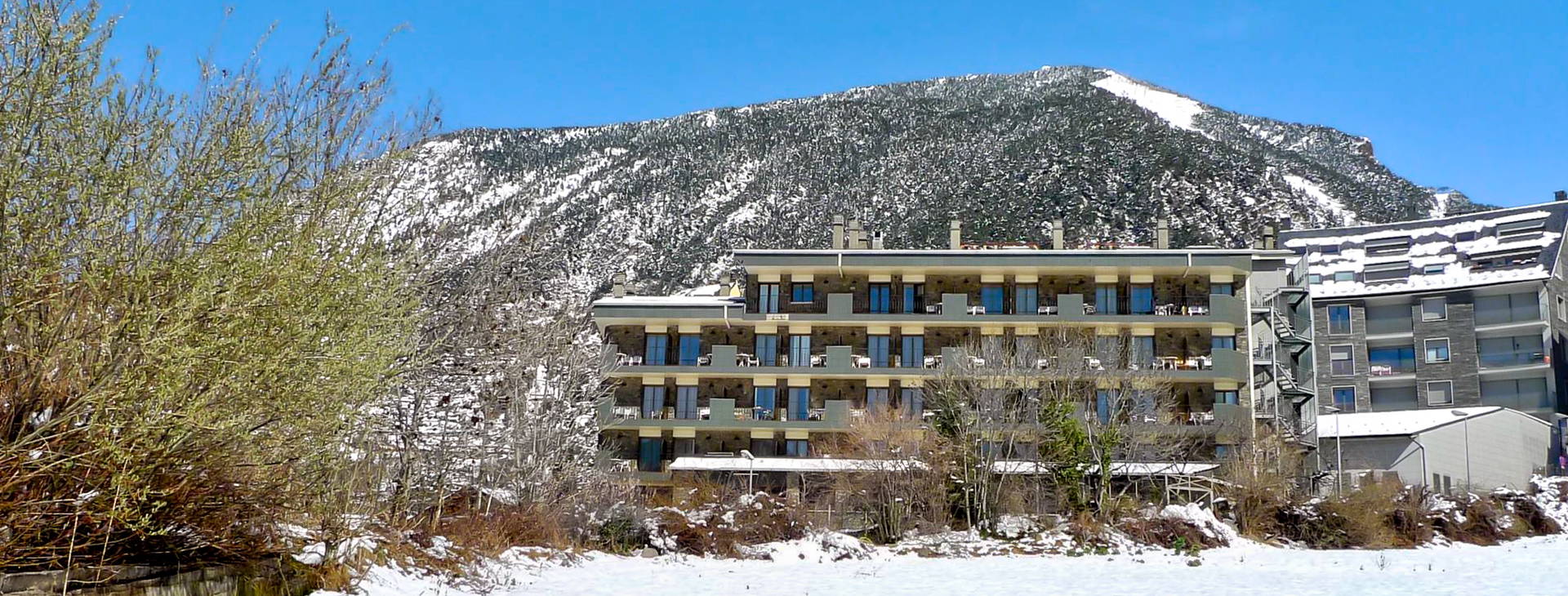 Evenia Coray Obrázok2