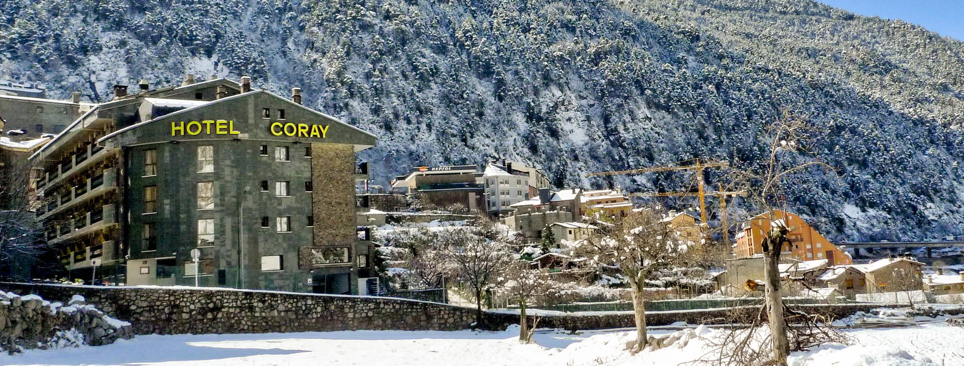 Evenia Coray Obrázok1