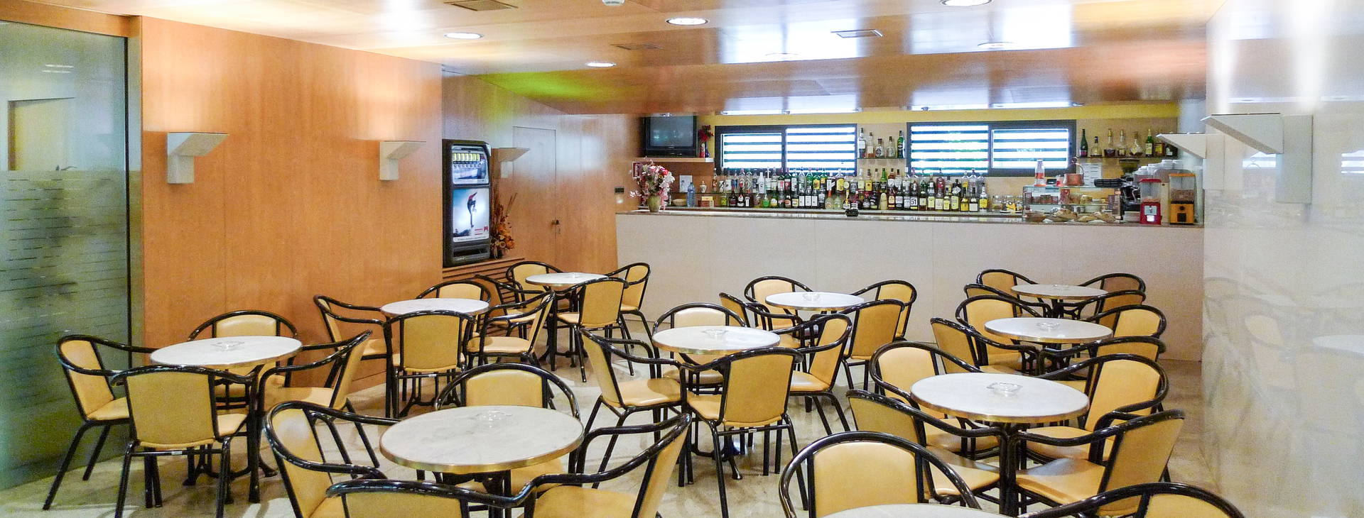 Evenia Coray Obrázok6