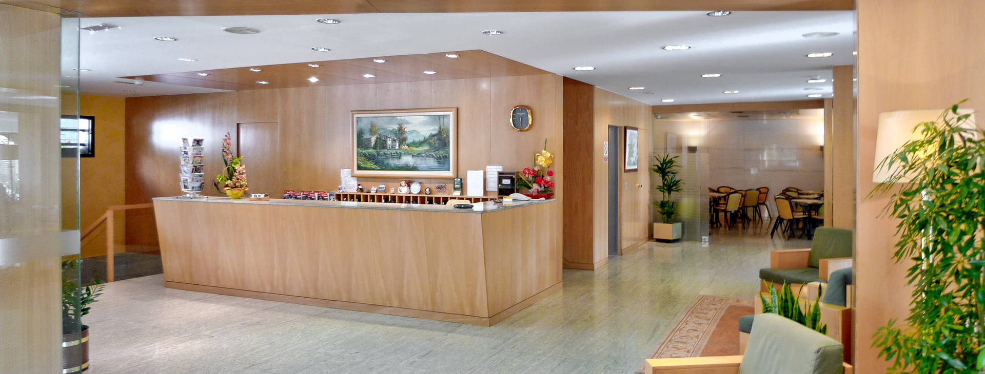 Evenia Coray Obrázok10