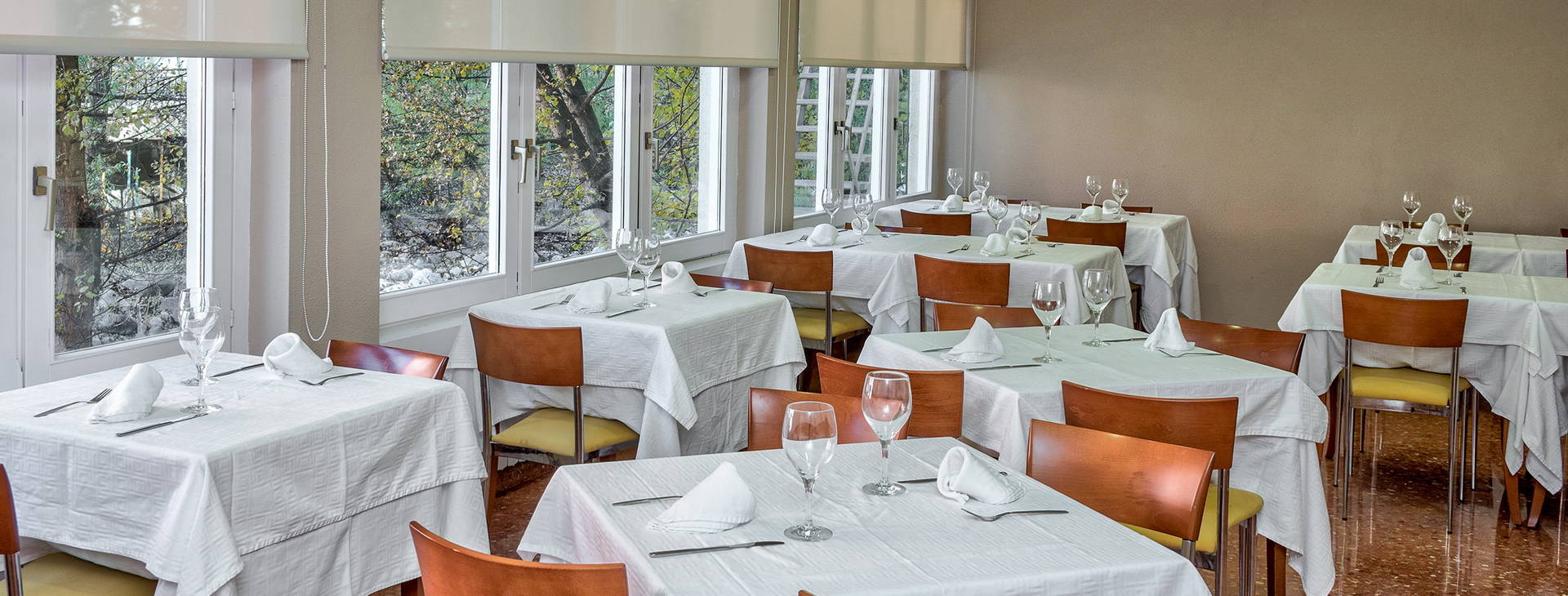 Evenia Oros Obrázok11