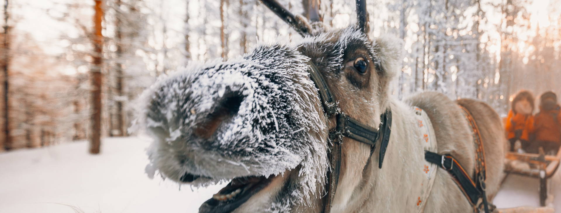Ubytování RVN Obrázok17