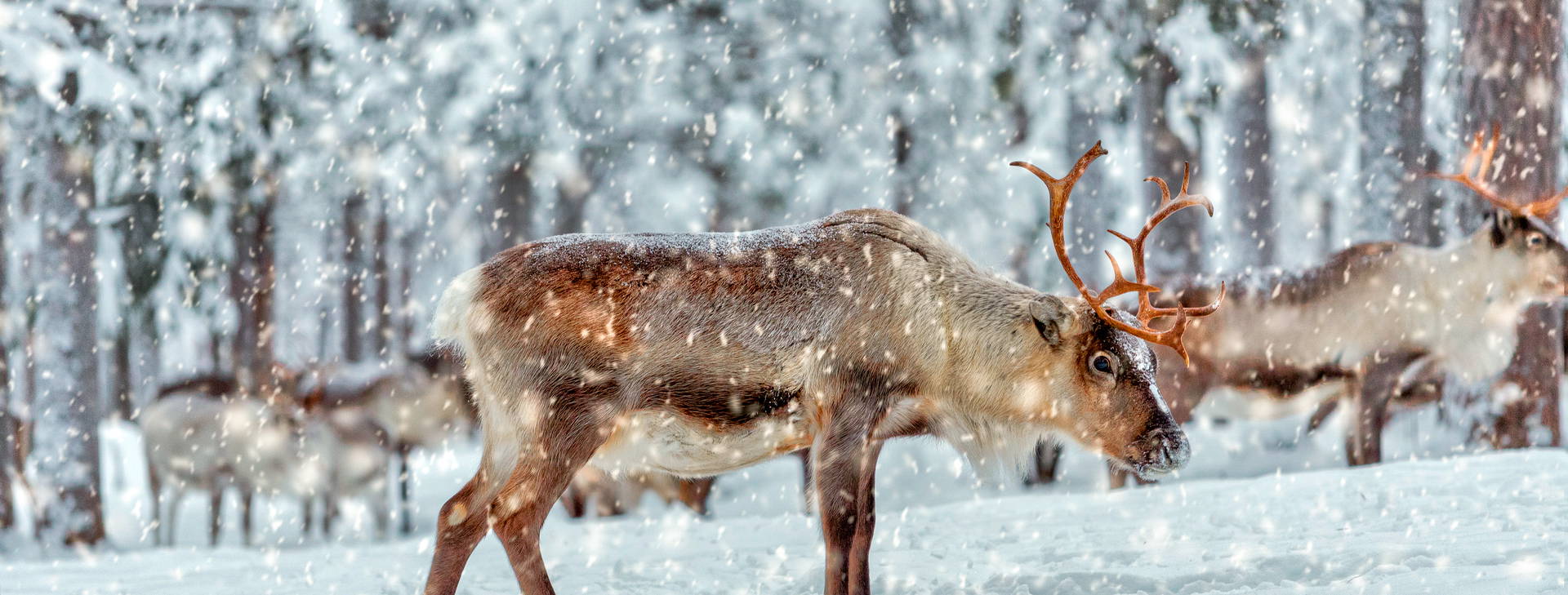Ubytování RVN Obrázok18