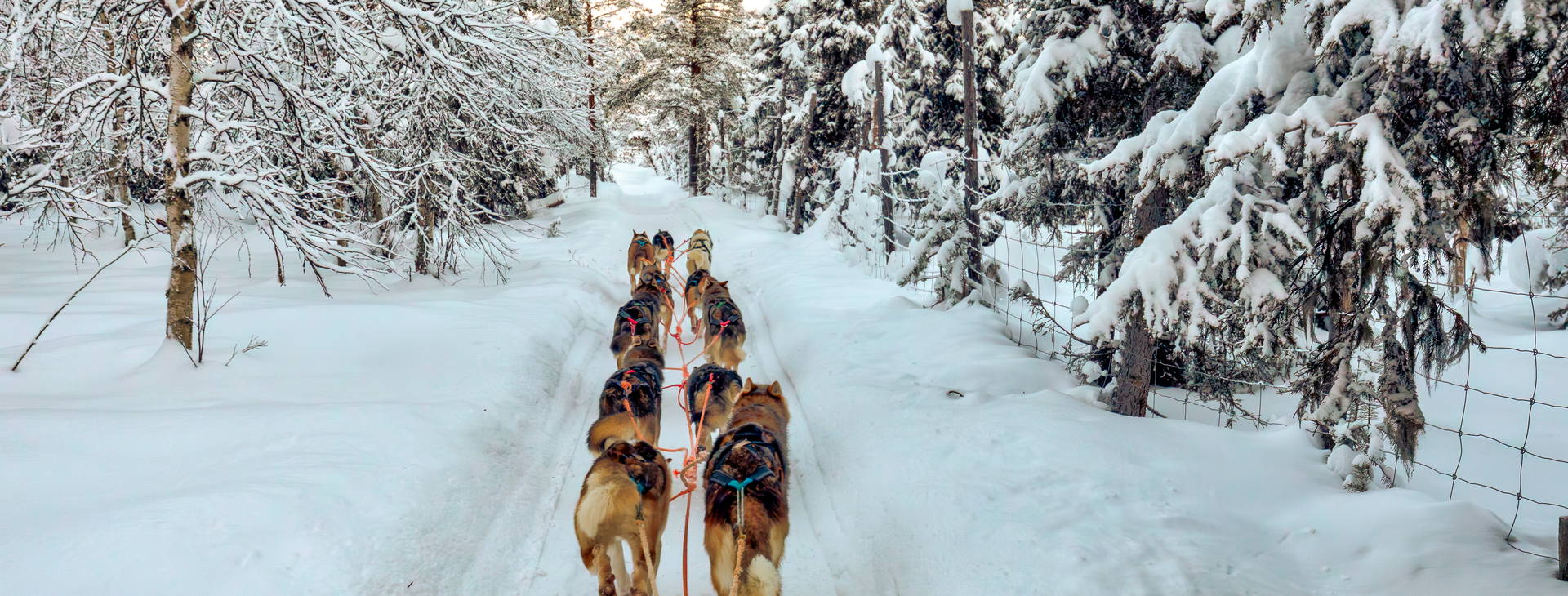Ubytování RVN Obrázok3