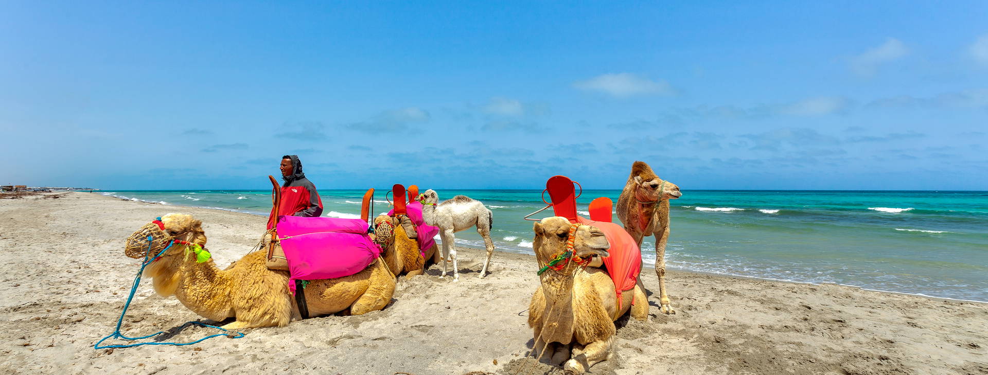 Cesar Thalasso & Convention Obrázok18