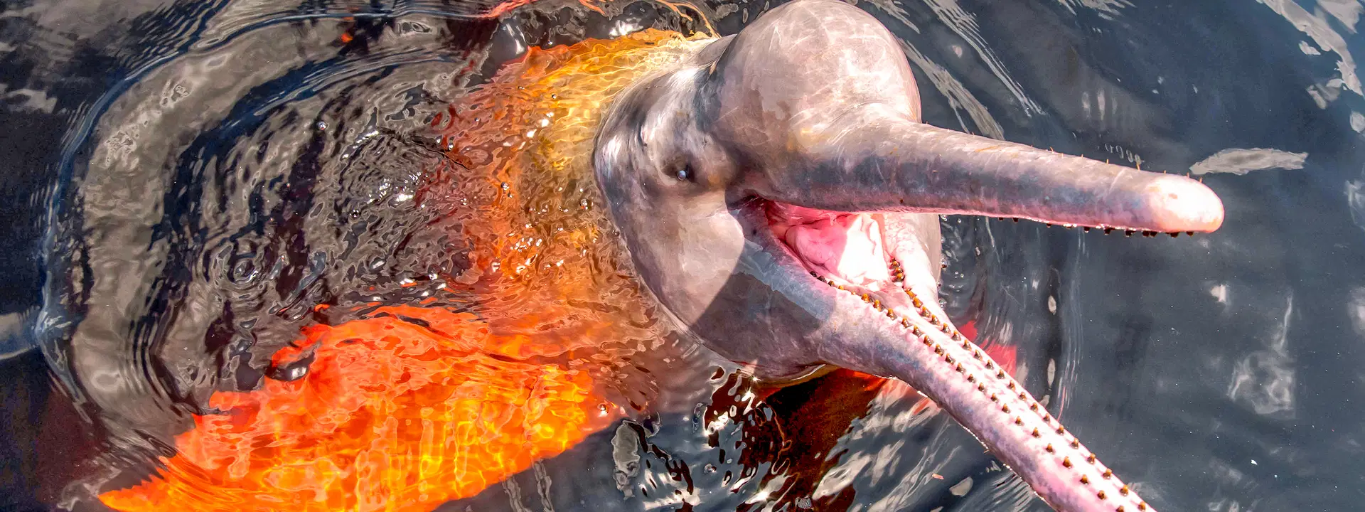 Ubytování KML Obrázok30