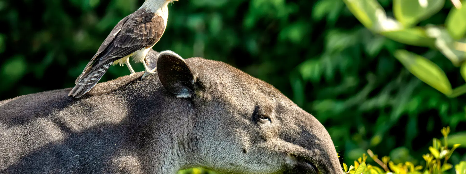 Ubytování KML Obrázok9