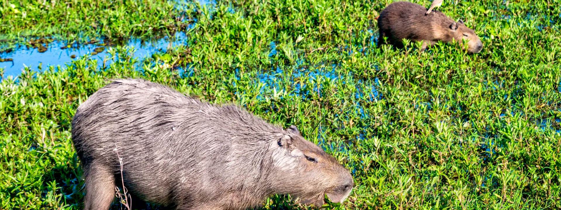 Ubytování KML Obrázok34