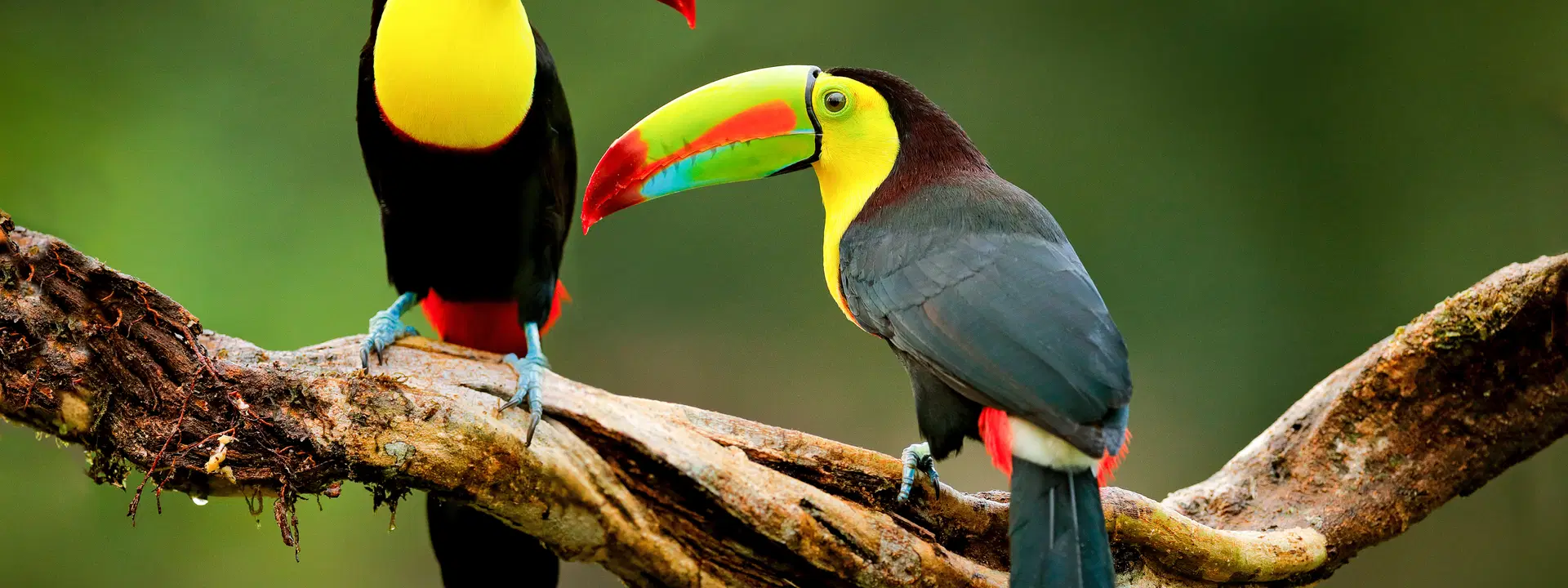 Ubytování KML Obrázok15