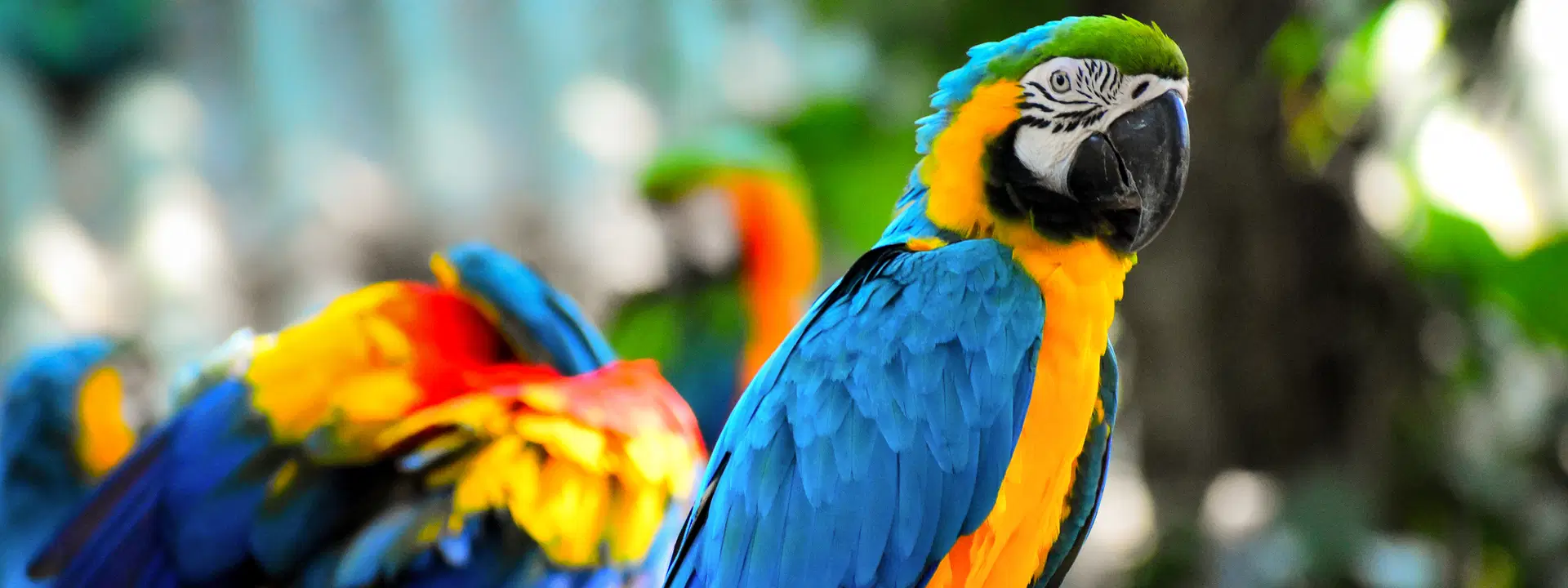 Ubytování KML Obrázok20