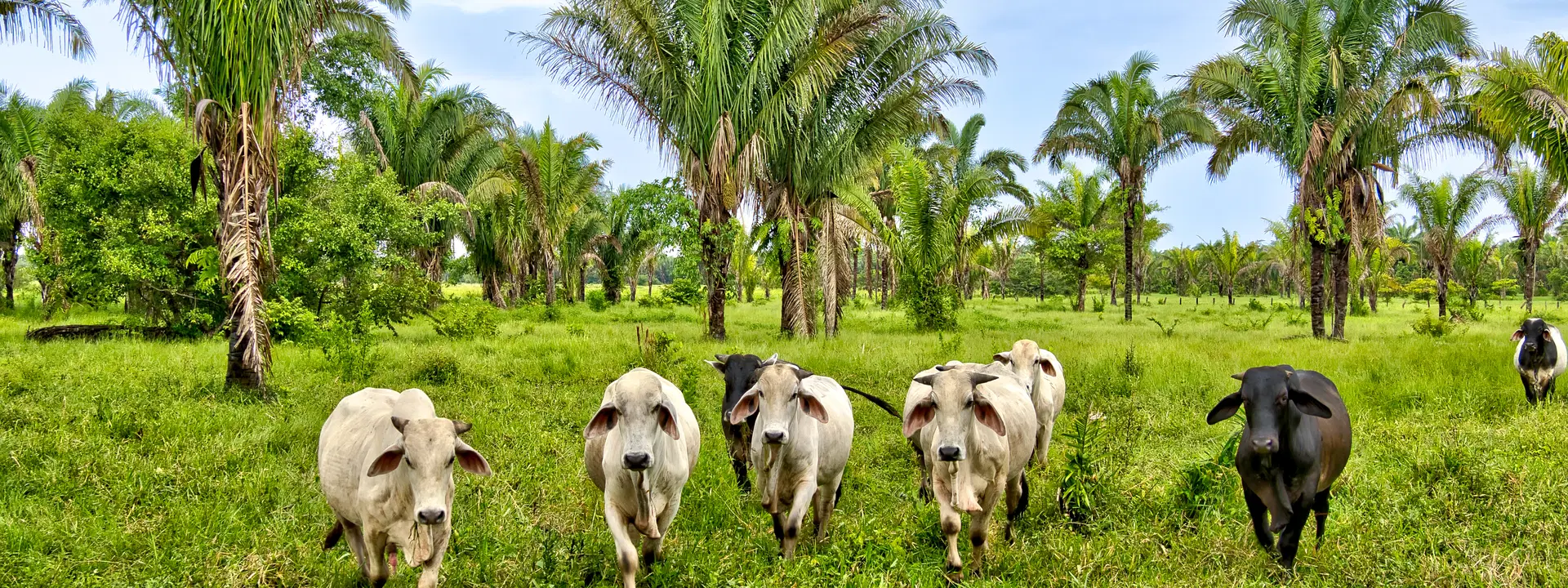 Ubytování KML Obrázok40
