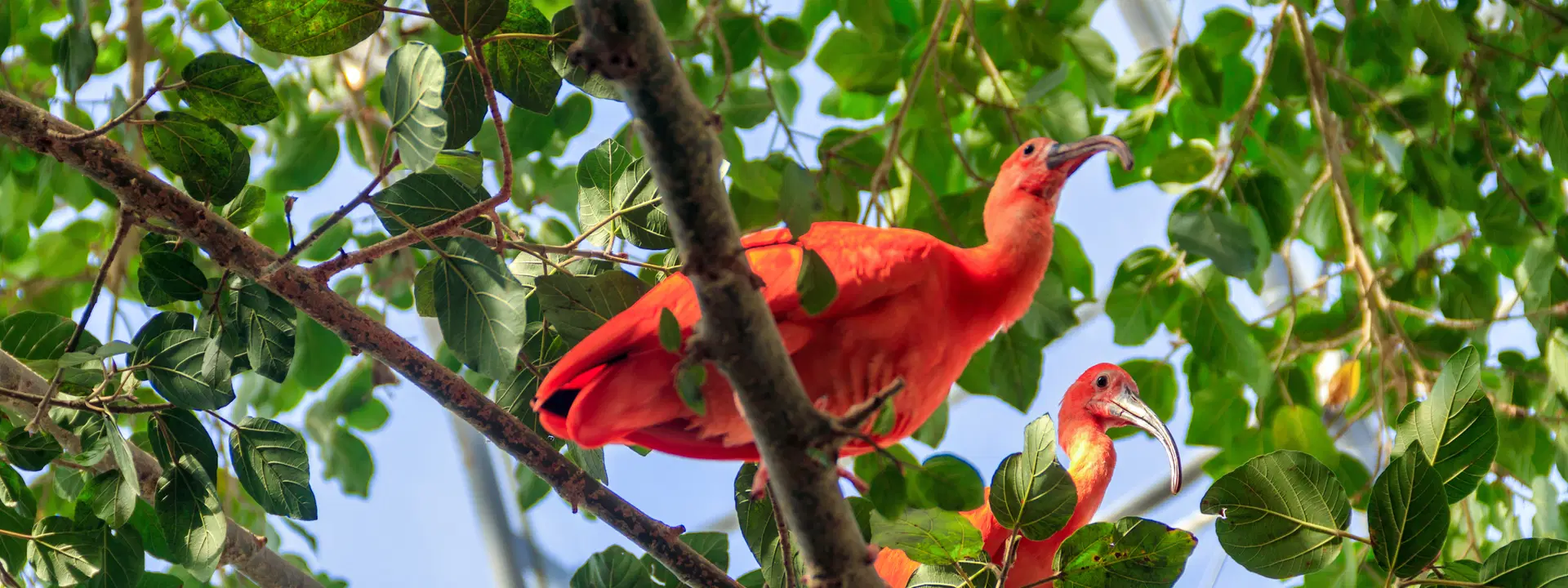 Ubytování KML Obrázok47