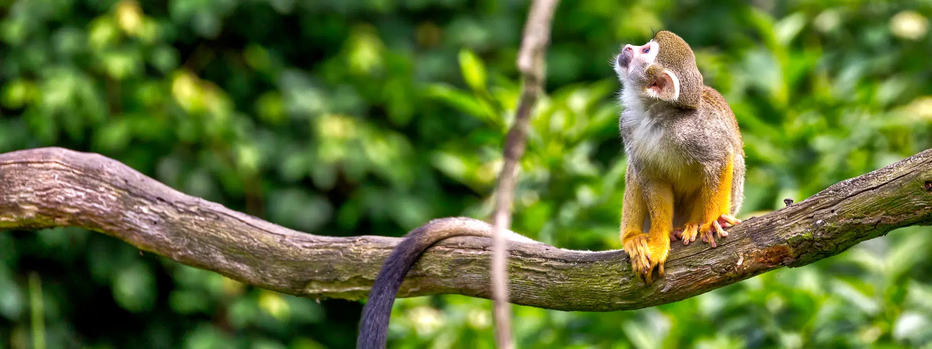 Ubytování KML Obrázok49