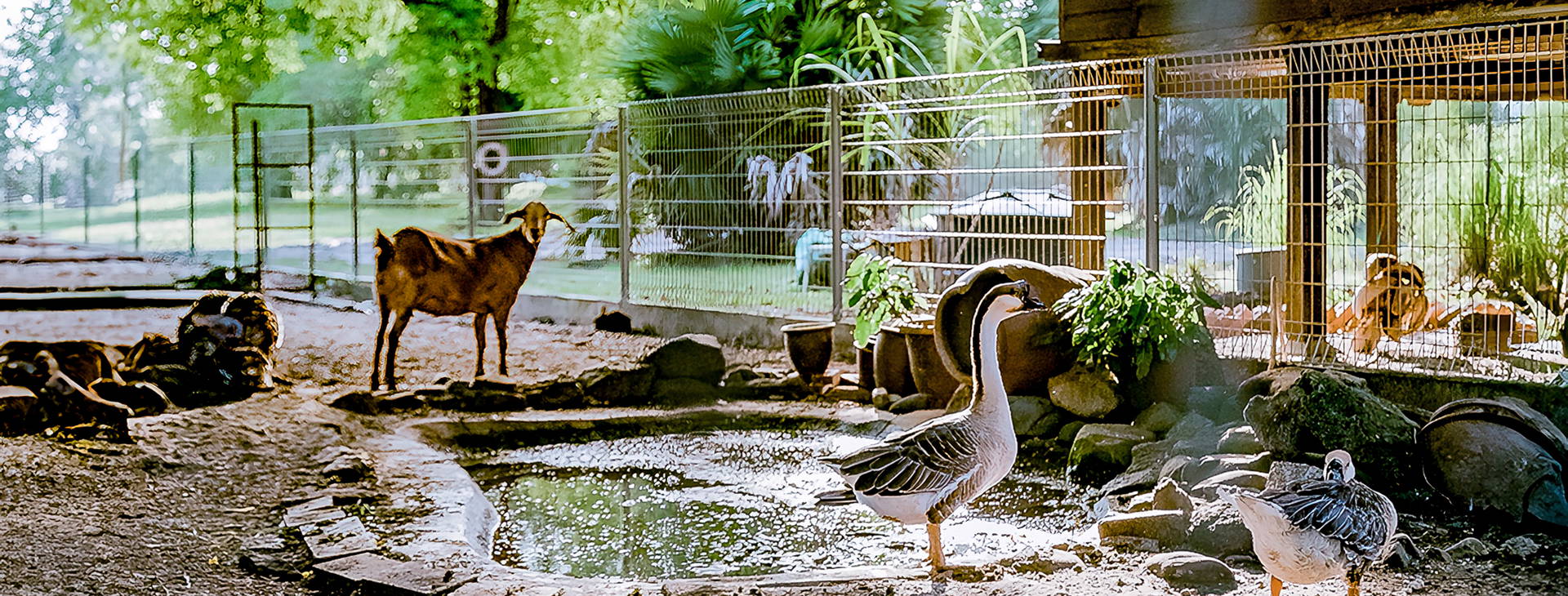 Pelangi Beach Obrázok33