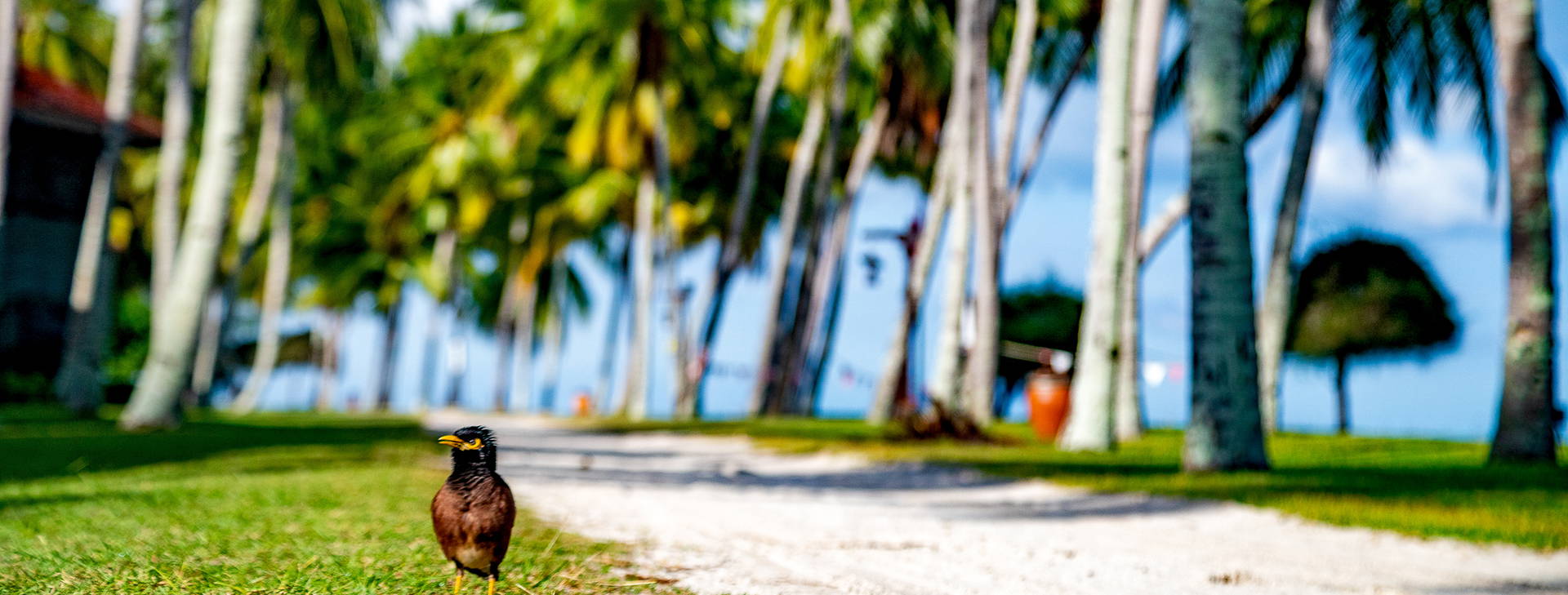 Pelangi Beach Obrázok16