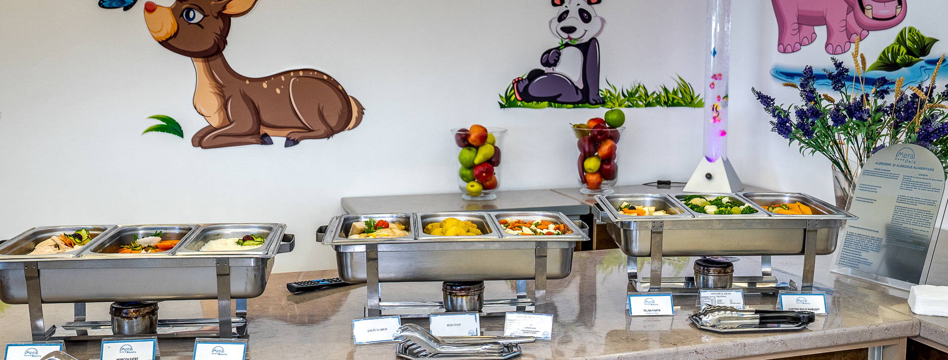 Mera Onix Obrázok23