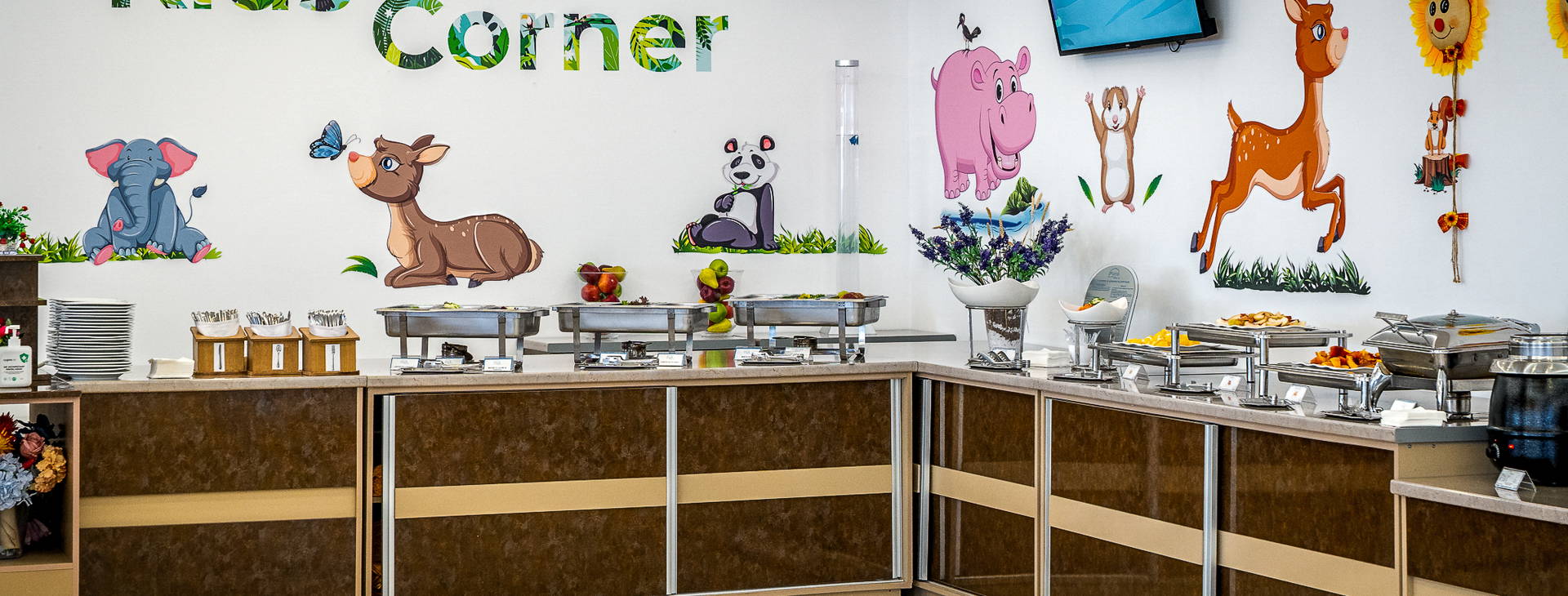 Mera Onix Obrázok24