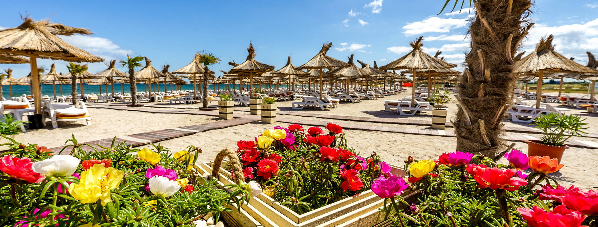 Mera Resort Venus Obrázok29