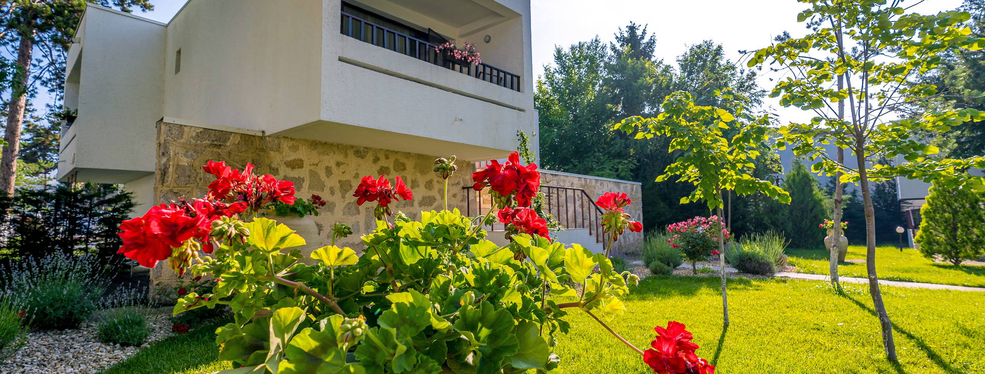 Mera Resort Venus Obrázok66