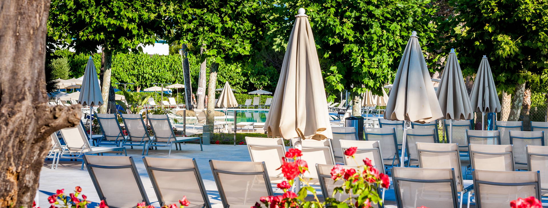 Globales Mediterrani Obrázok6