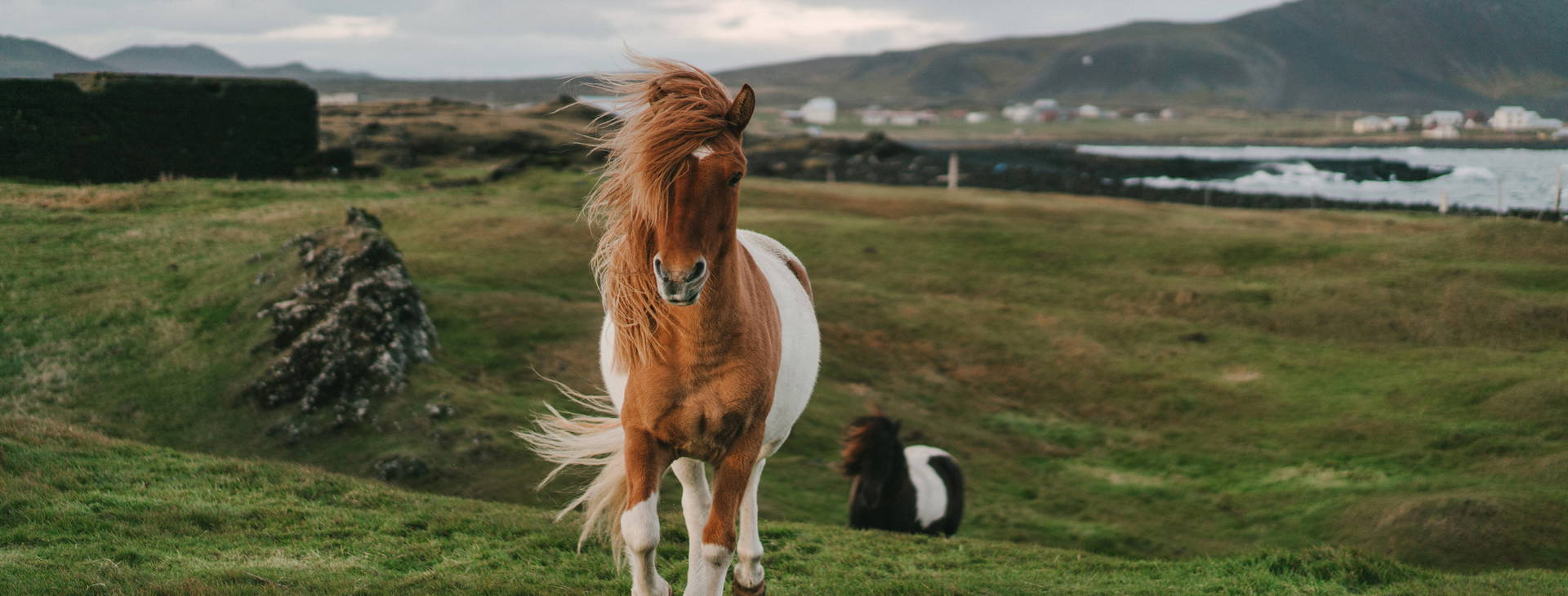 Ubytování ISO Obrázok7