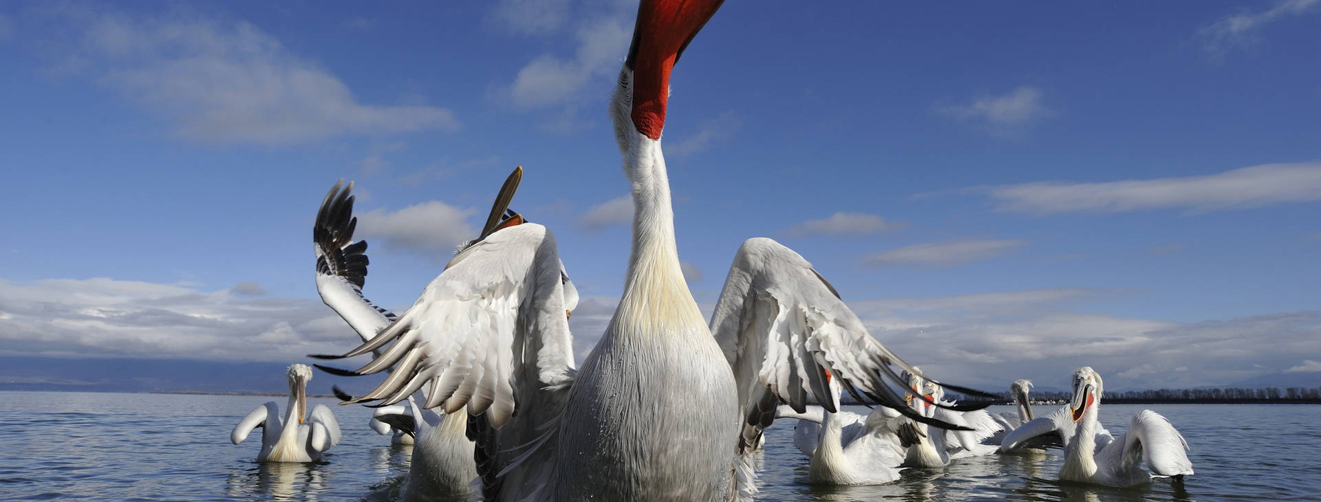 Ubytování GOG Obrázok2