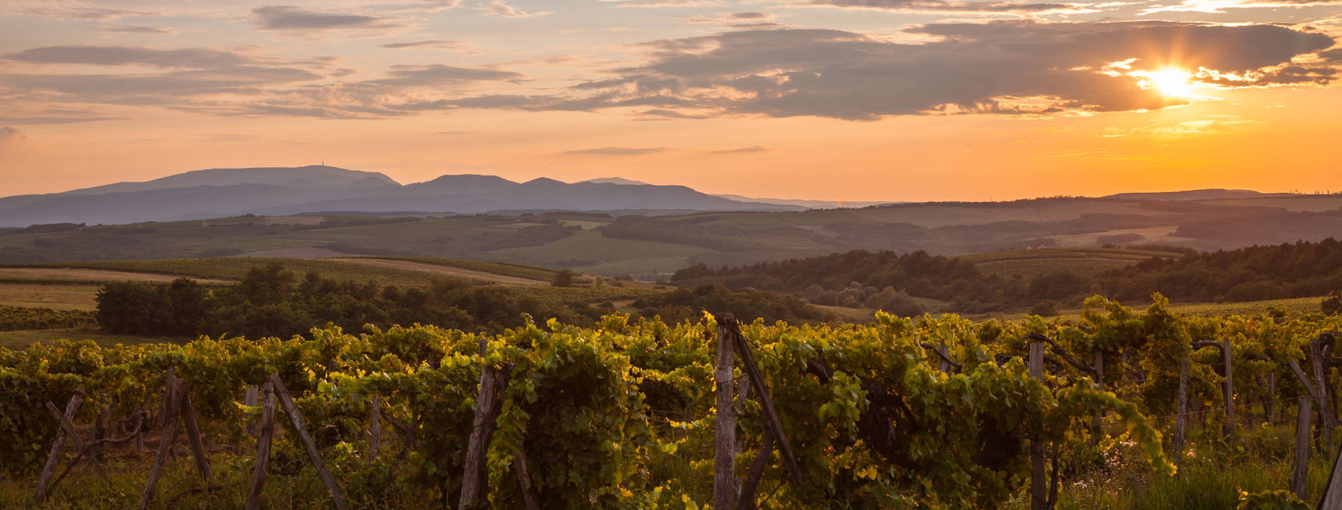 ﻿Ubytování RUC Obrázok7