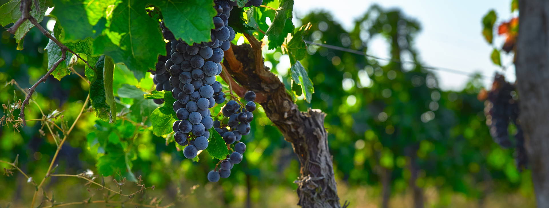 ﻿Ubytování RUC Obrázok9