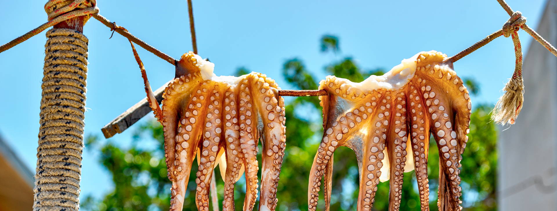 Ubytování RDR Obrázok27