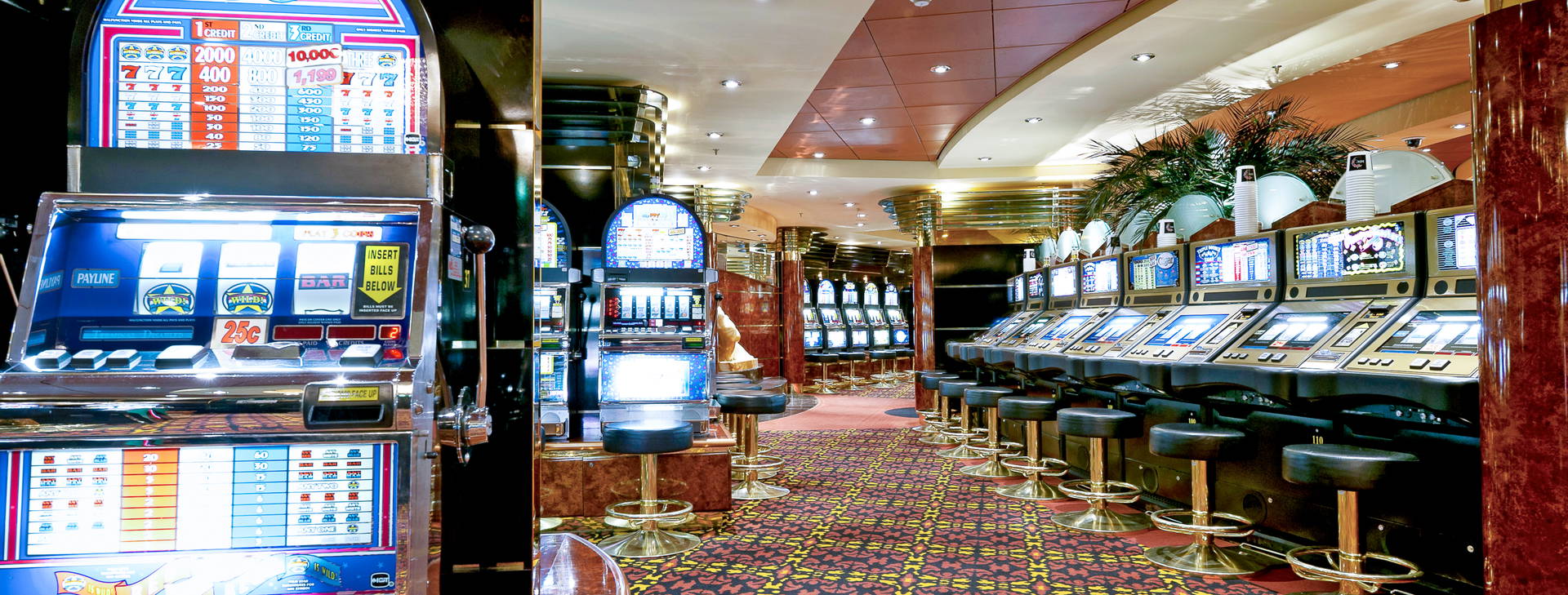 Ubytování RBI (MSC Musica) Obrázok42